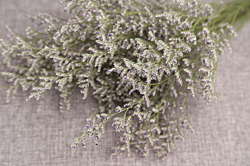 花艺插花常见花名有哪些,鲜花插花的技巧有哪些