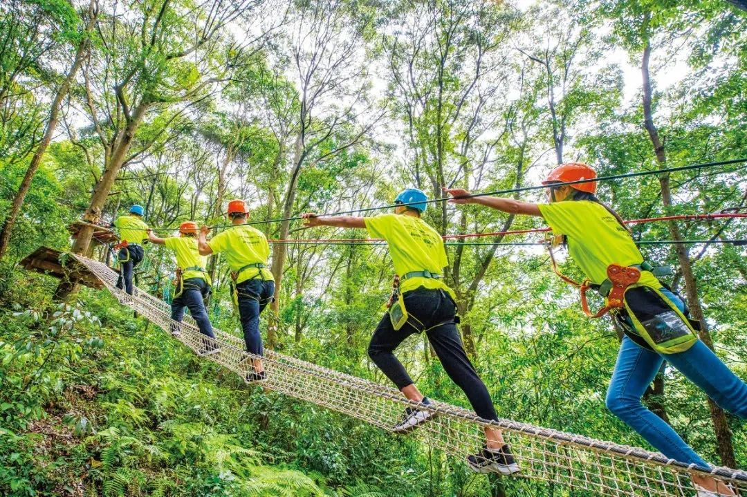 百家发布追寻奋斗百年路｜不能忘却的纪念　不断前进的柯城