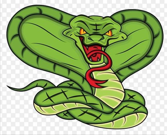 眼镜王蛇有多厉害？如果把它放到非洲会怎样，还能不能称霸一方？