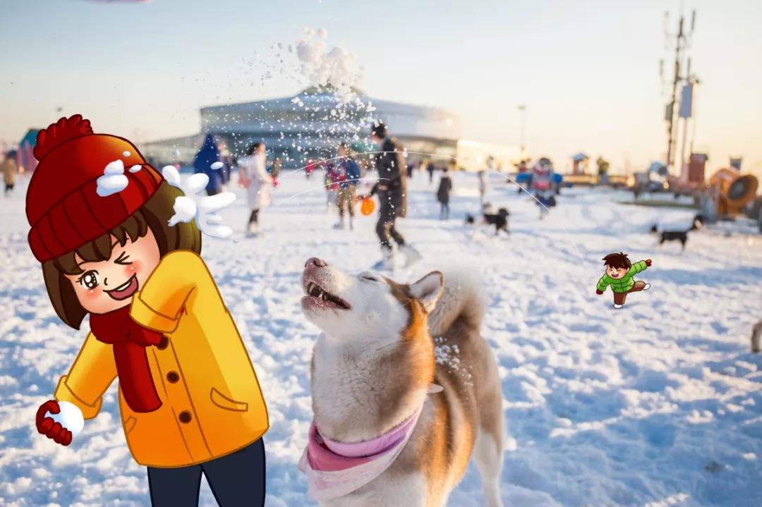 小学生最好的期末复习资料,老师给孩子整顿的期末复习知识点