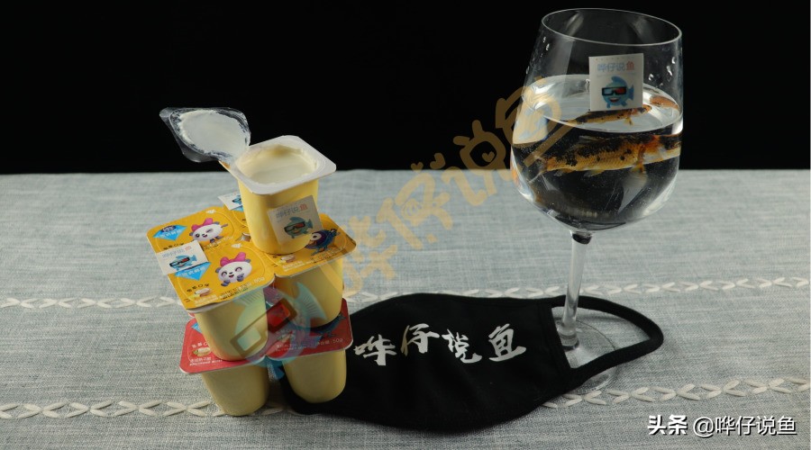 鱼缸倒酸奶鱼会不会死,鱼缸倒进去酸奶鱼能活吗