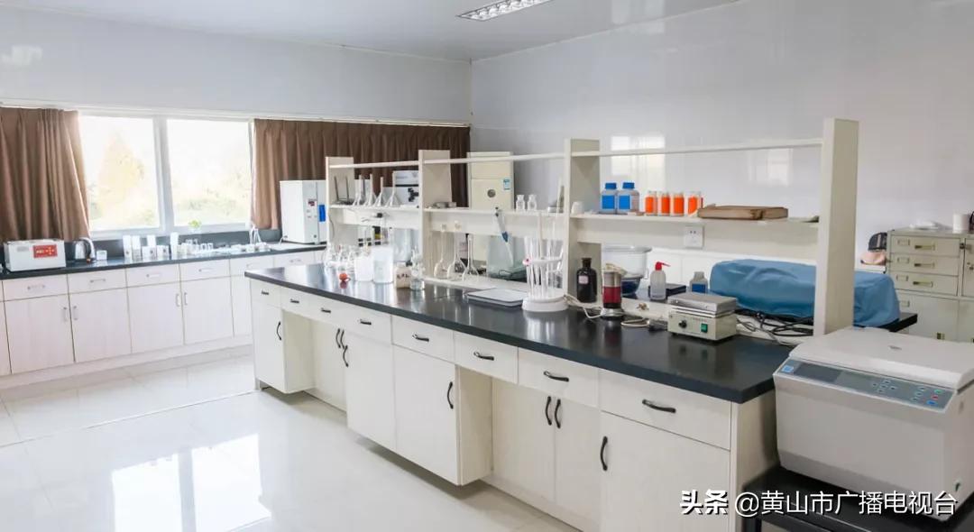 黄山一品有机茶业有限公司电话,黄山一品茶业