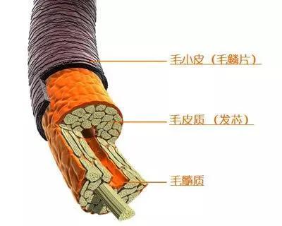 达令家鱼子酱,达令家鱼子酱洗护