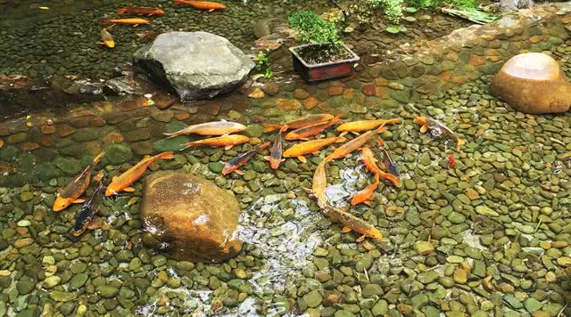 浙江有哪些有瀑布的旅游景点,浙江旅游景点推荐瀑布