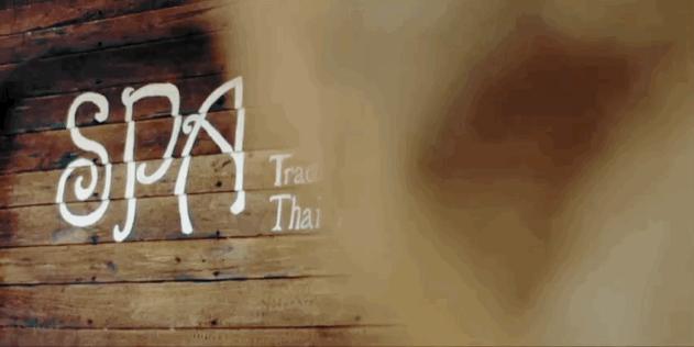 恋恋丽贝岛，人狗情未了|KohLipe