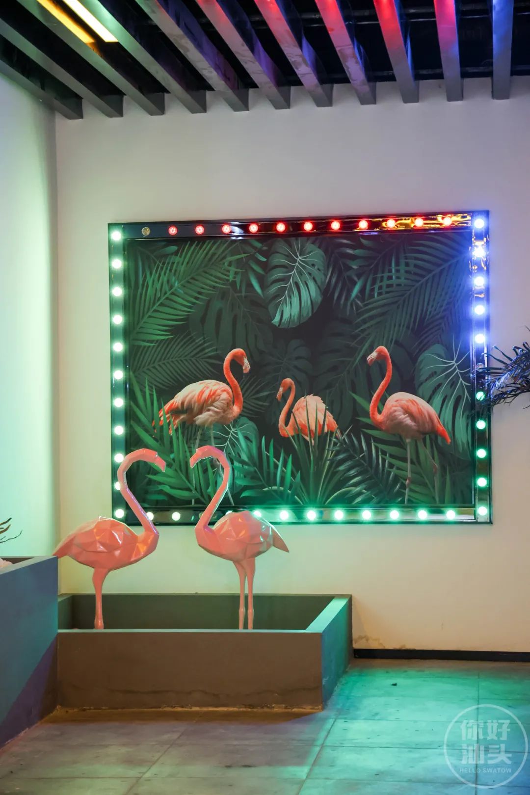 成都性价比高的网红ktv,打卡重庆网红量贩ktv