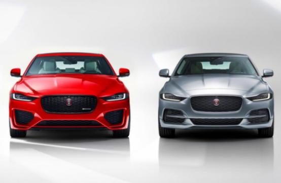 面对这样的“小豹子”，您还能管好自己的钱包吗？