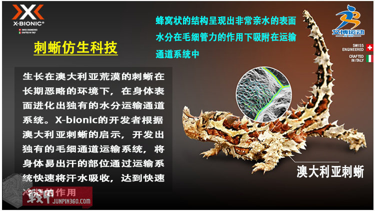 X-Bionic真的那么牛逼吗？看了才知道真相