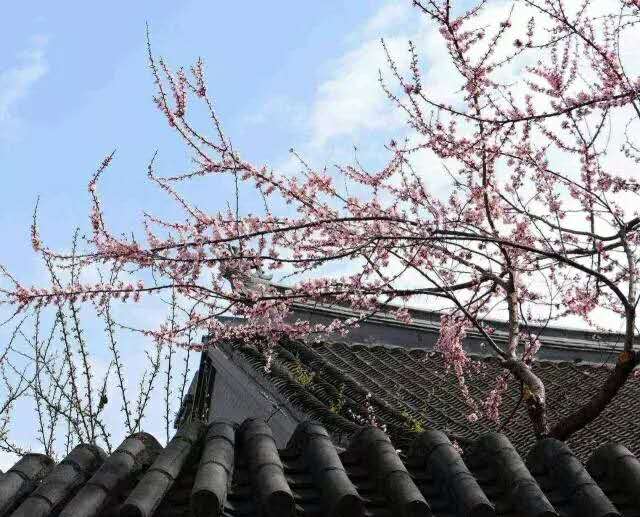 宋祁写的诗是什么,宋祁春景注释