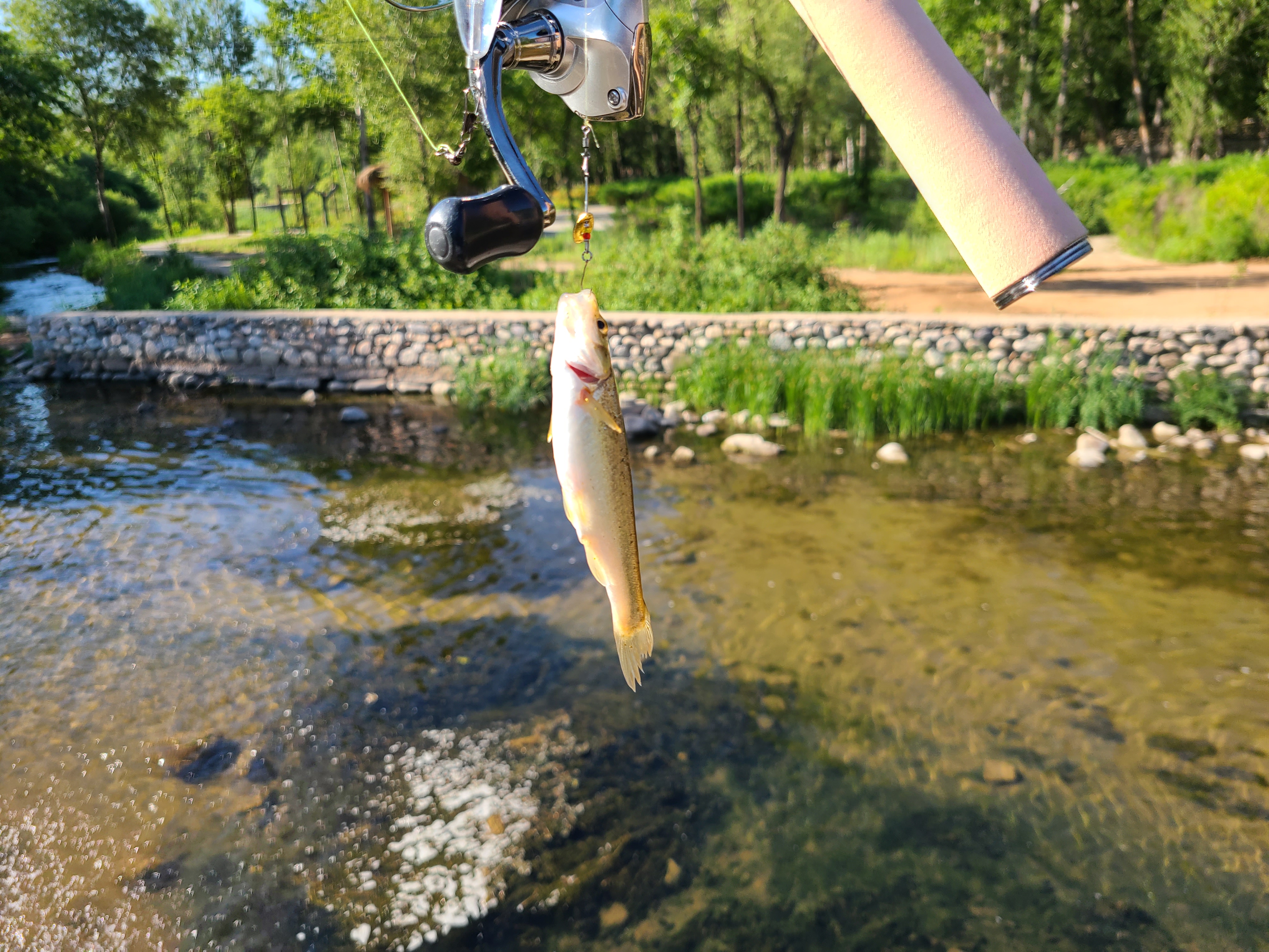 新入坑路亚的钓友越来越多,完全不会钓鱼如何入坑路亚