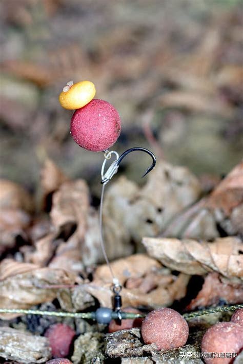钓鱼拉饵多长时间调漂,钓鱼拉饵调漂的正确方法