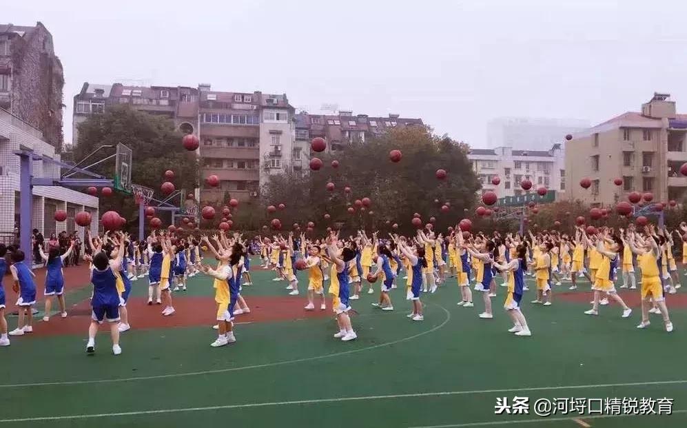 杭州民办小学学校录取结果查询,杭州西湖区民办小学报名人数