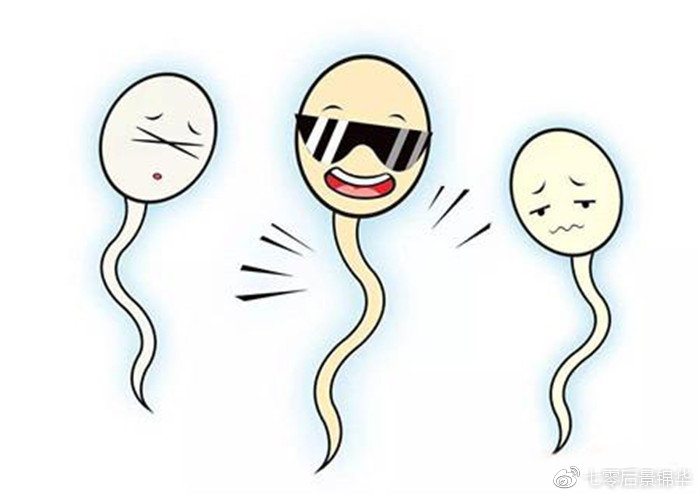 精子正常不怀孕需做哪些检查,检查精子才有3个正常的能生育吗