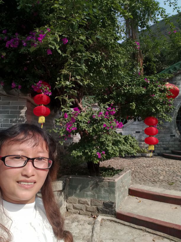 海丰莲花山度假村可以免费进吗,汕尾莲花山度假村游玩攻略