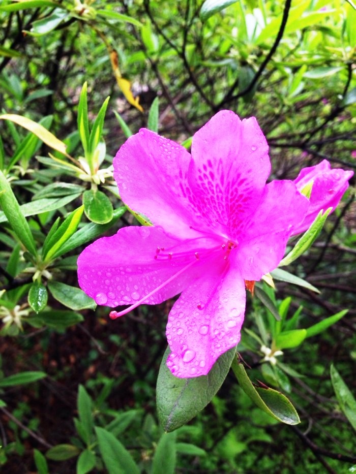 阳光乐观正能量的说说,励志语录经典感悟人生说说
