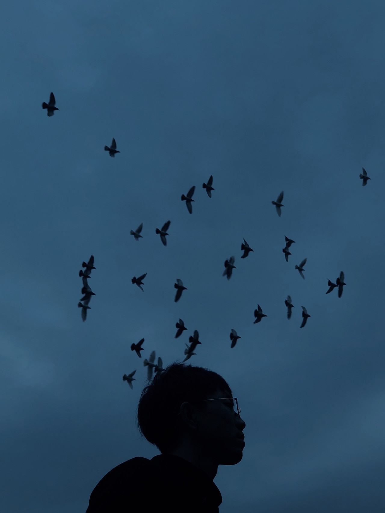 九条“不见得”，手机也能拍大片