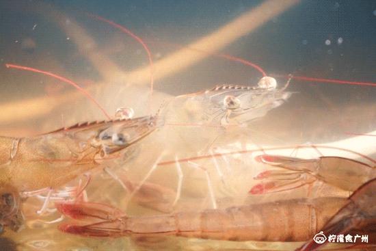 2年有3000条五星好评，6个月前登上必吃榜，这家店膨胀了……