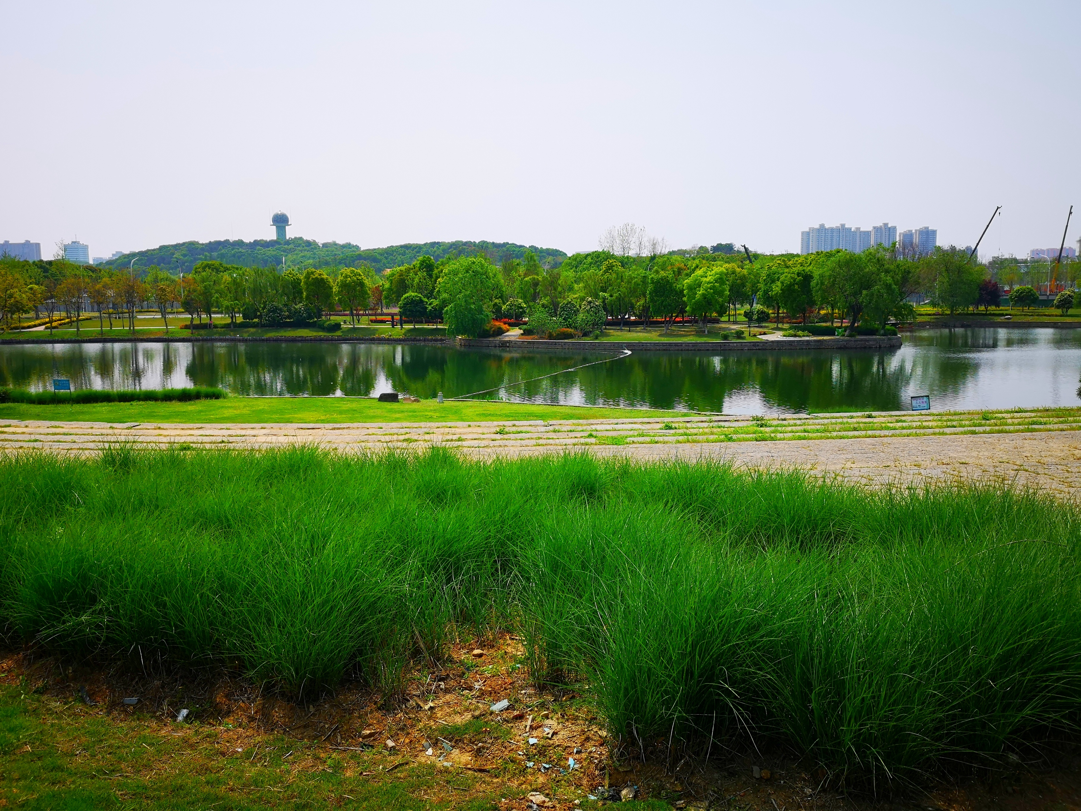 沉睡的历史与惊艳的现实——走读东西湖