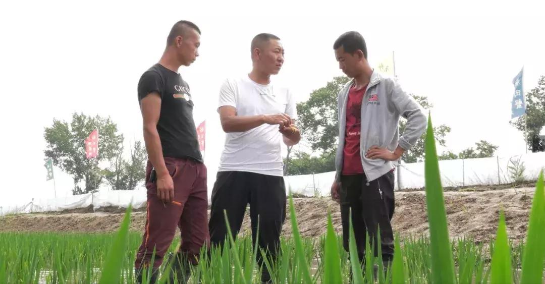八一快闪赛罕区,八一军人风采视频
