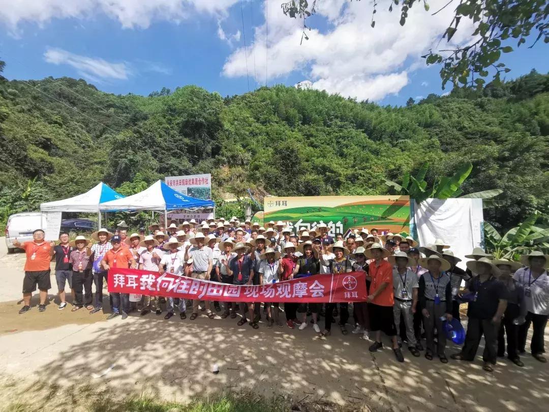 特早蜜桔果园,宜昌现在特早蜜桔行情