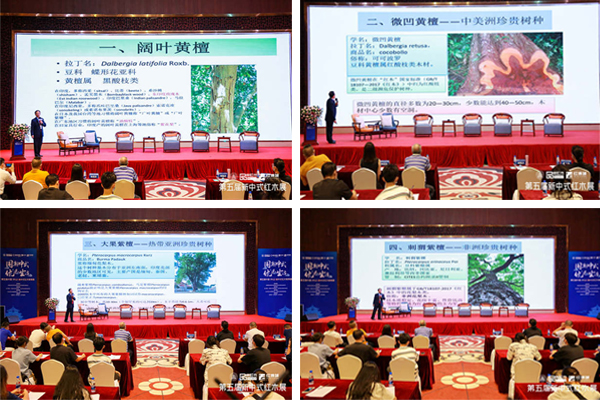 解码新国潮“破圈”新中式第五届新中式红木家具论坛圆满举行