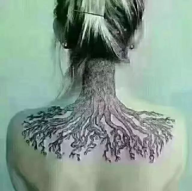 颈椎是人体的一棵大树,颈椎问题的内因和外因