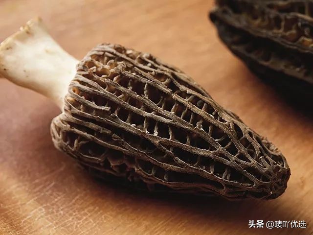 羊肚菌四大菌王,法国野生羊肚菌