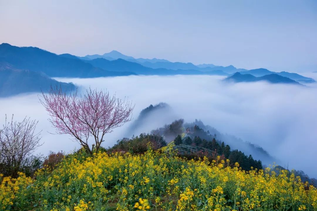 最值得去的10个国外旅行地,国内最值得去的二十个城市