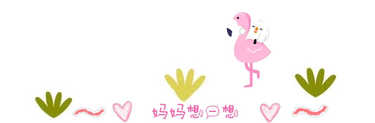 长隆飞鸟乐园拍鸟攻略,广州长隆飞鸟乐园可以摸哪些鸟