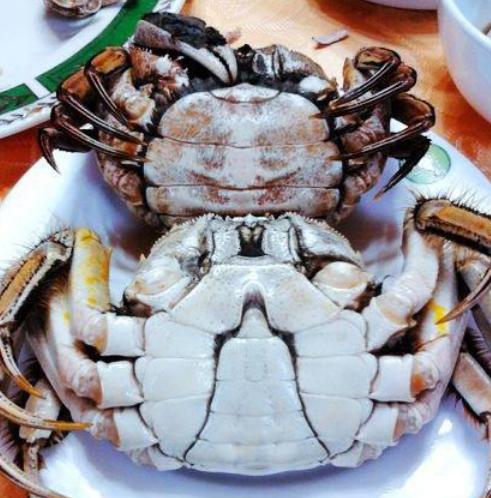 买螃蟹别瞎拿，牢记5个妙招，买的螃蟹个个膏满肉肥，不花冤枉钱