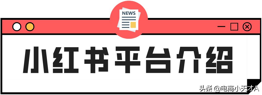 小红书mcn机构是做什么的,小红书mcn机构