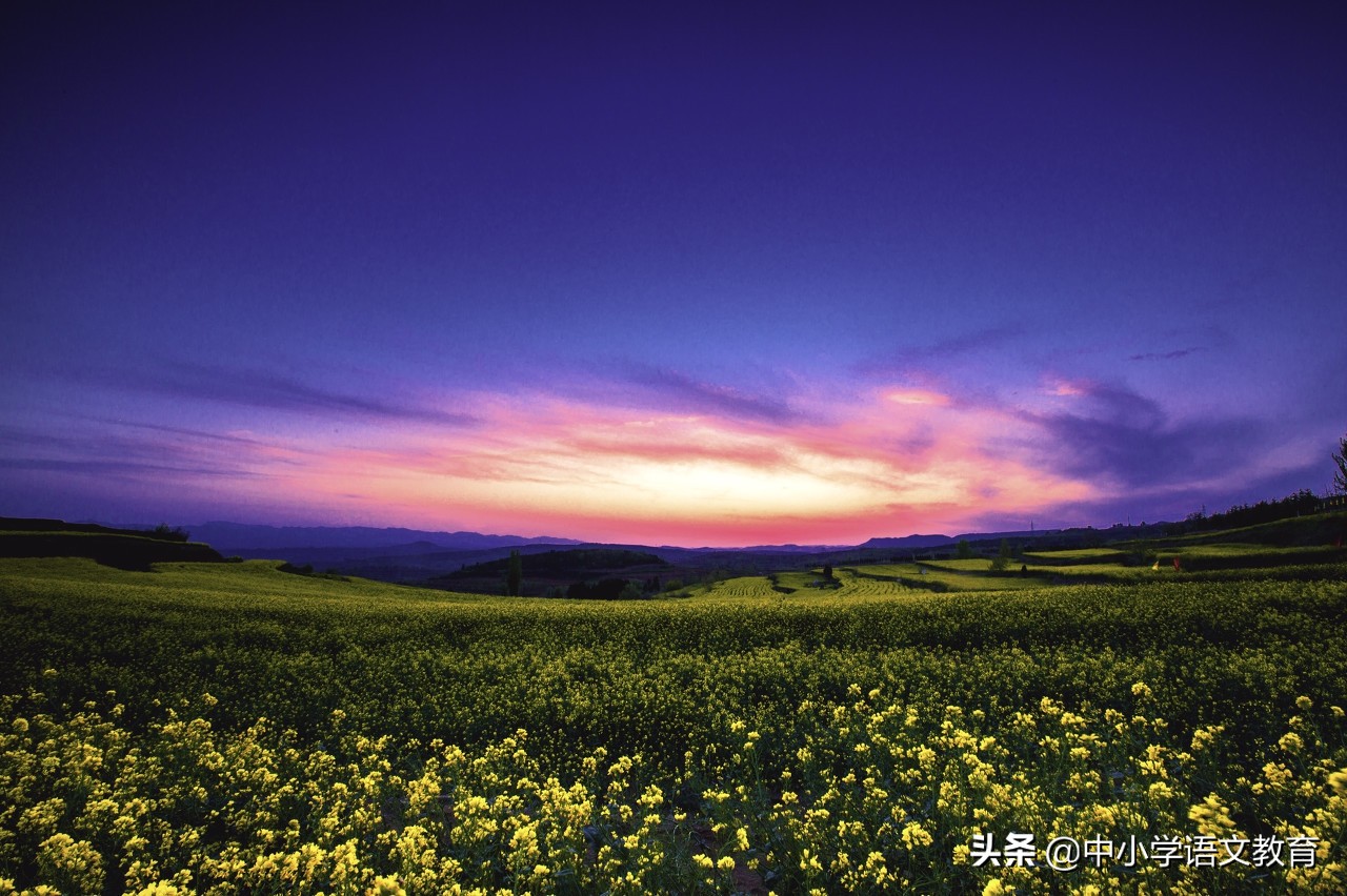 八年级下册语文期末必考重点复习,八年级下册语文期末复习知识点