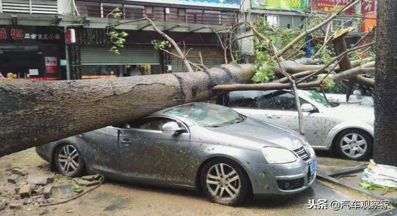台风天汽车淹了保险赔吗,台风导致的车损保险公司会理赔吗
