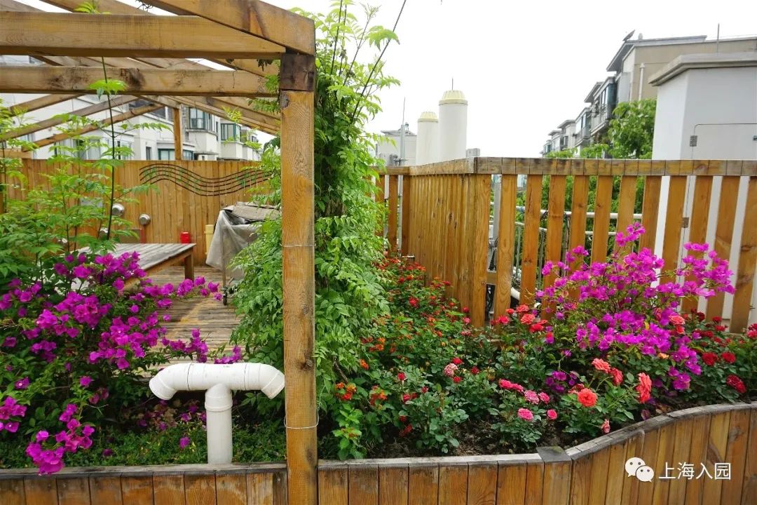 上海普陀有资质的托育园,上海普陀贝越托育园