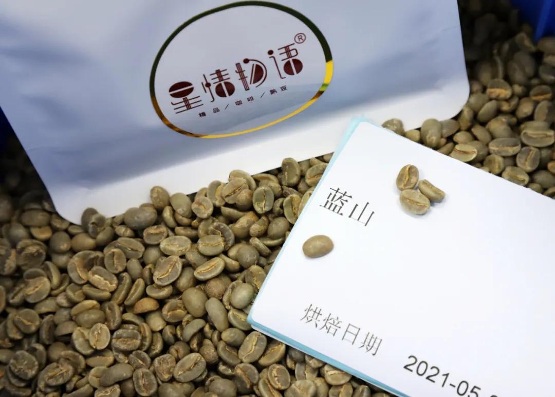 蓝山咖啡真的有减肥的效果吗,蓝山咖啡真的几百块一杯