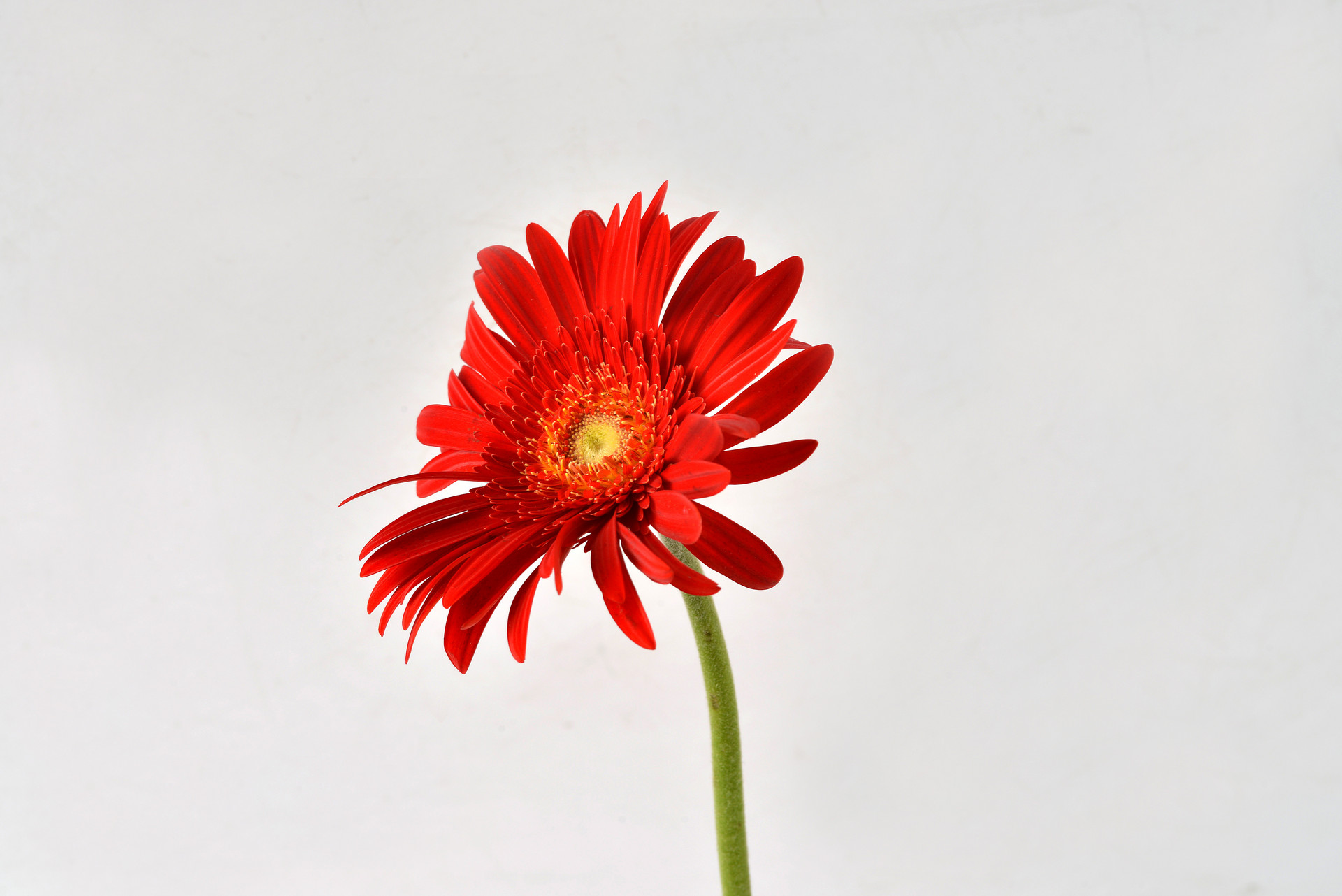 有缘的人有感应,有缘的人会有心灵感应