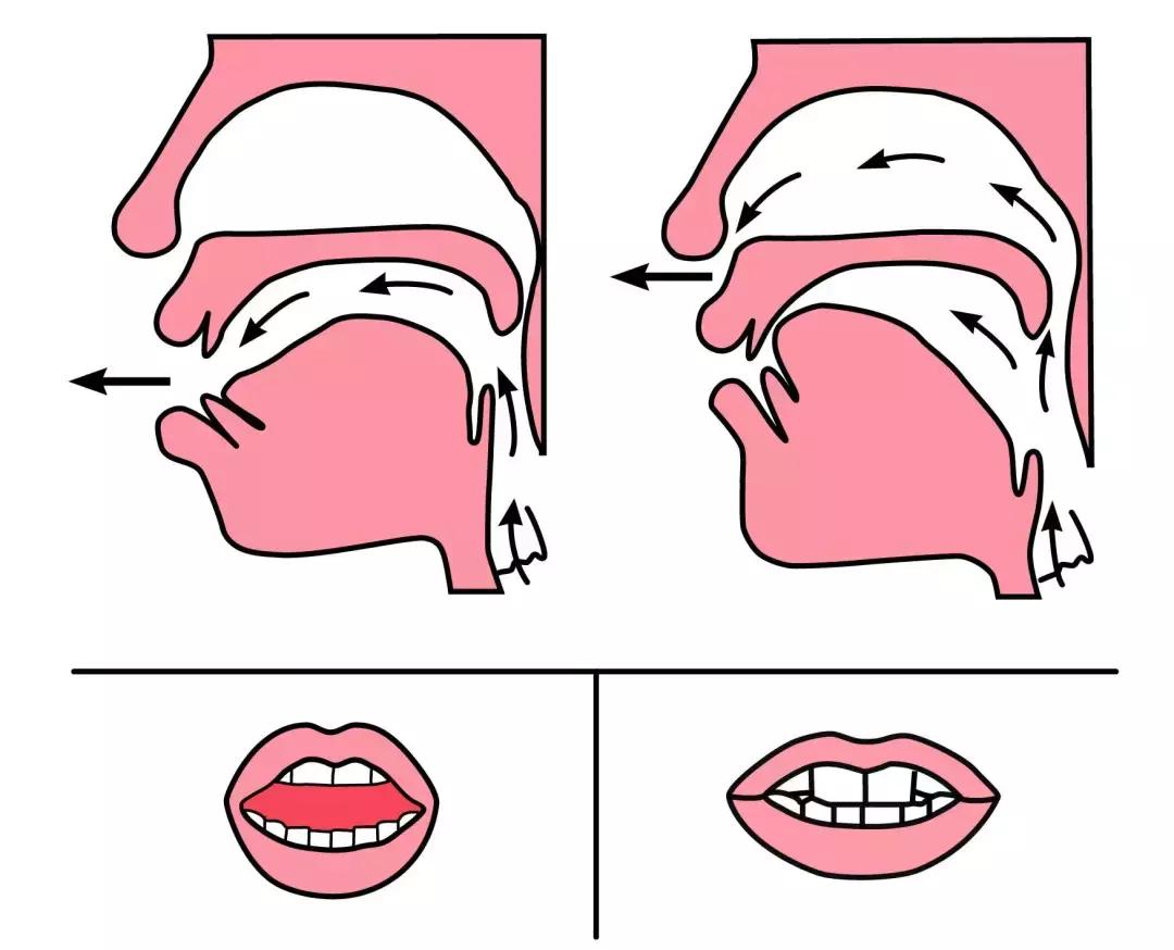 小学前鼻音后鼻音平舌音讲解,小学前鼻后鼻音区分练习