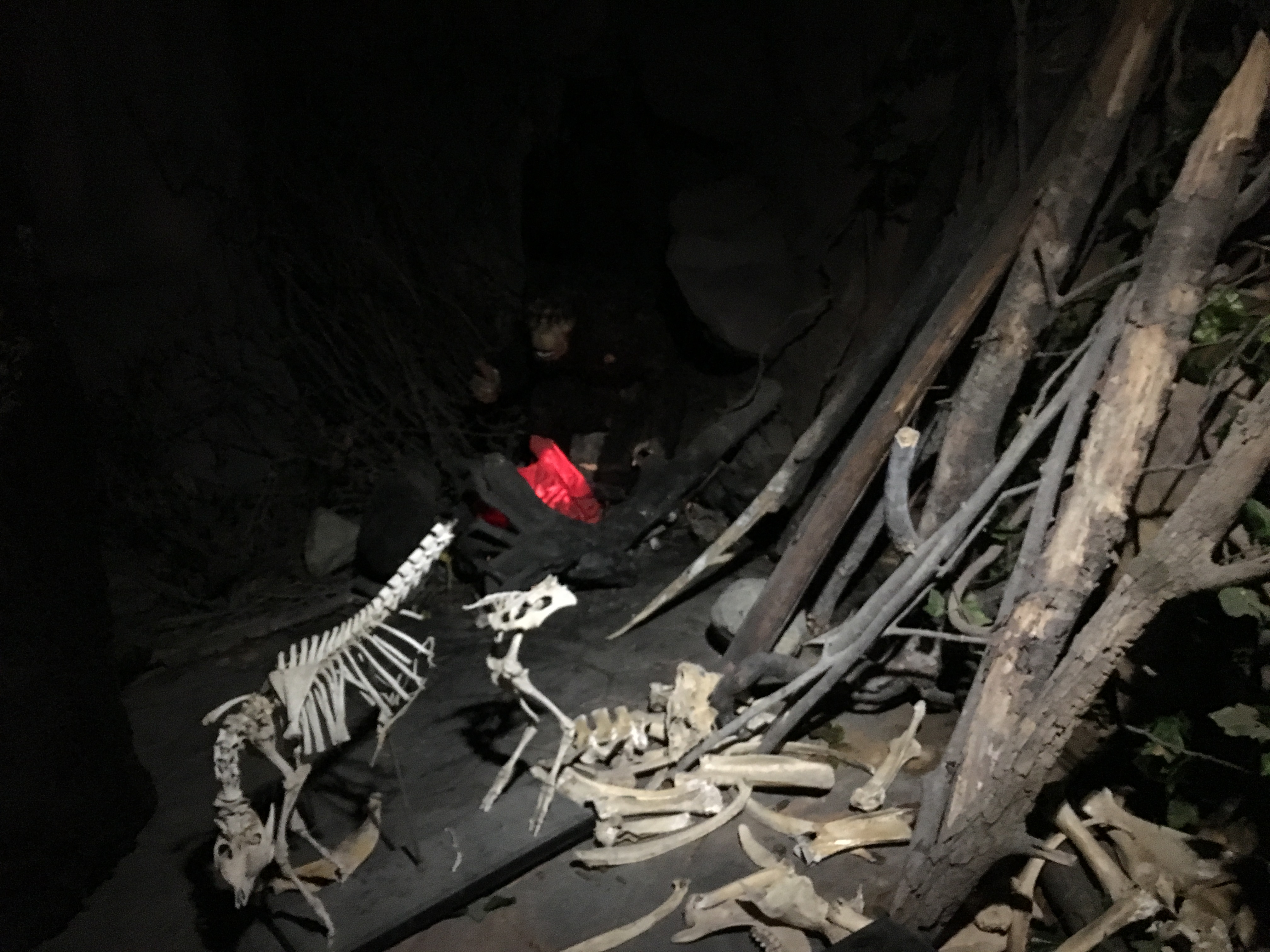 雨中神农架探秘之旅｜国庆节节武汉至神农架自驾游攻略分享