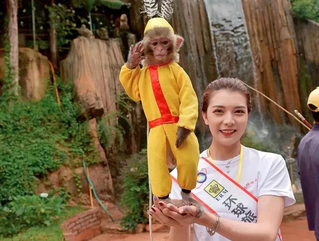 无法离昆，就地过年！昆明亲子游推荐路线重磅来袭！花样过牛年