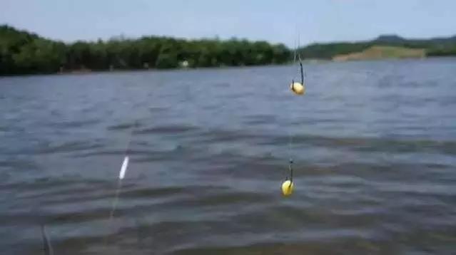 路亚浮钓草鱼需不需要提前打窝,浮钓草鱼玉米用什么样的打窝勺