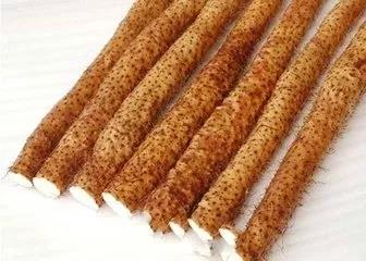 我叫汾阳，这是我2020年最新简历，请多关照