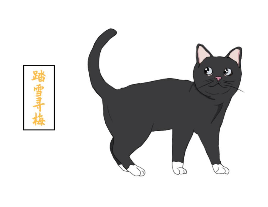 你养的猫在古代都叫什么名字,想知道你家猫在古代是什么样子吗