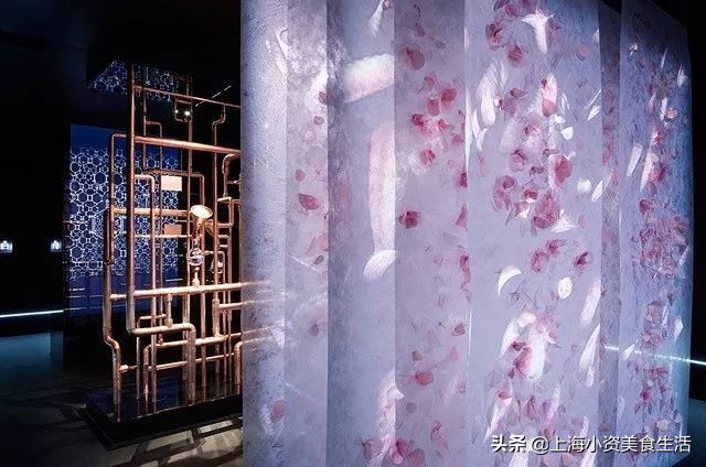 chanel中国秀场上海,chanel最近有什么活动