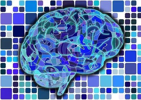 CNN公布最新研究：雾霾可以入脑，导致老年痴呆……