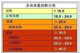 判定孩子肥胖的bmi值是多少,儿童bmi判断肥胖的标准