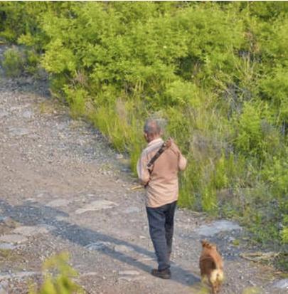 天气热被蛇咬怎么办,防止被蛇咬伤的最好方法