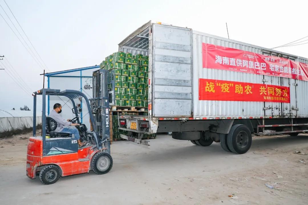 几天吃光6万吨滞销农产品，淘宝吃货：很抱歉以这样的方式出名