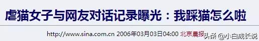 为什么虐猫会被批判,为什么现在虐猫都能上热搜