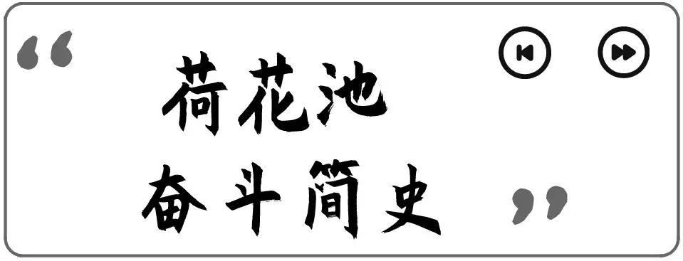 荷花池复原,荷花池变身素材