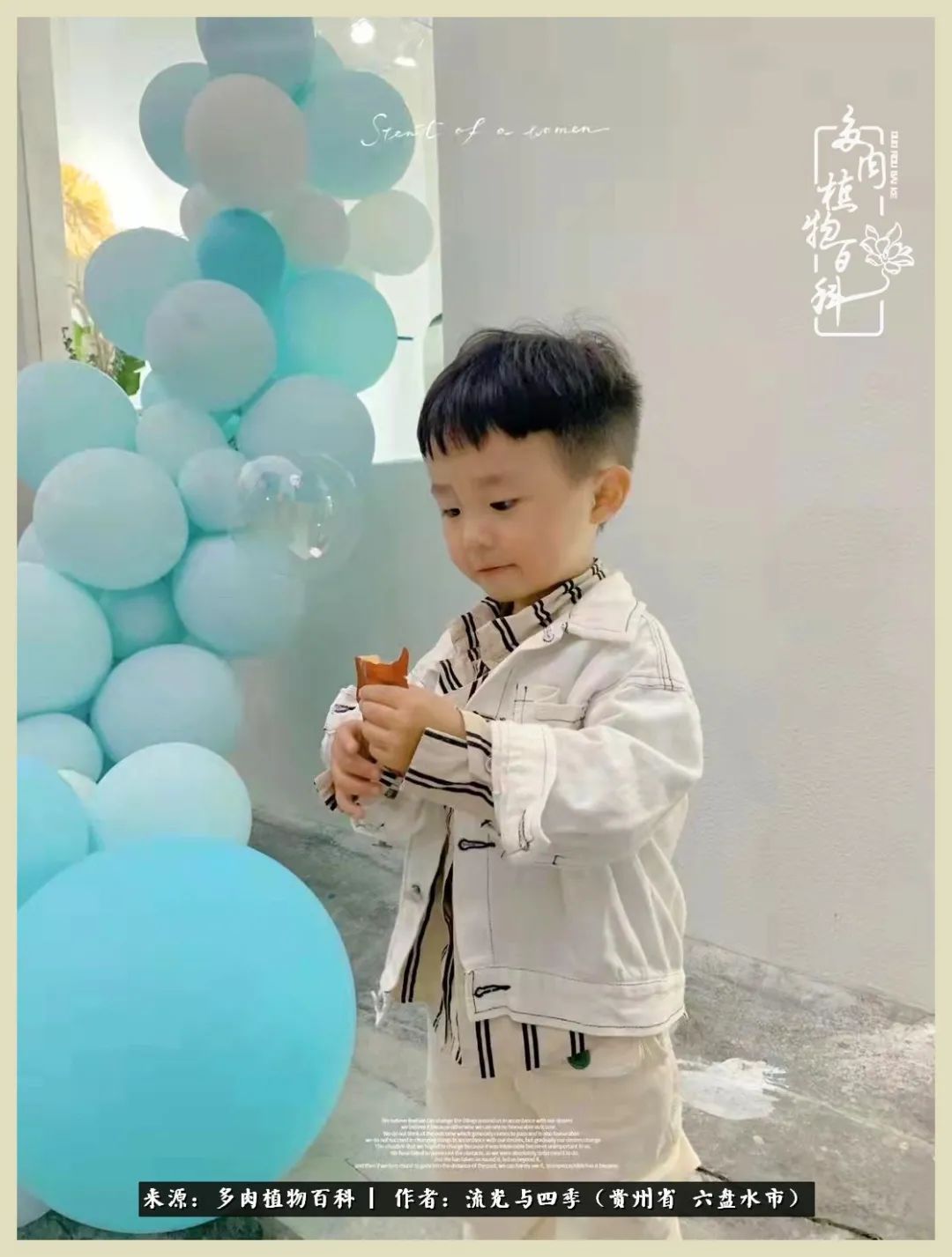 国庆节假期你快乐吗？来，凉都美肉与你相伴一一小乌木的霸气东云